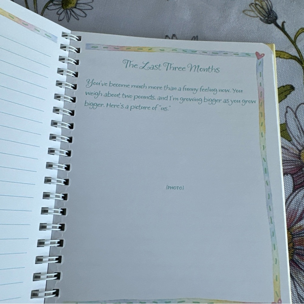 Hallmark Before baby arrives a mother‘s pregnancy journal book. A memory book - Picture 11 of 15